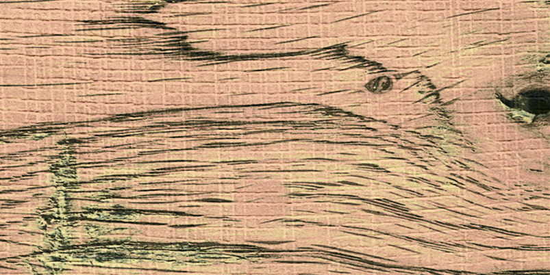 Sawtooth Wood 2700х1200 Orange