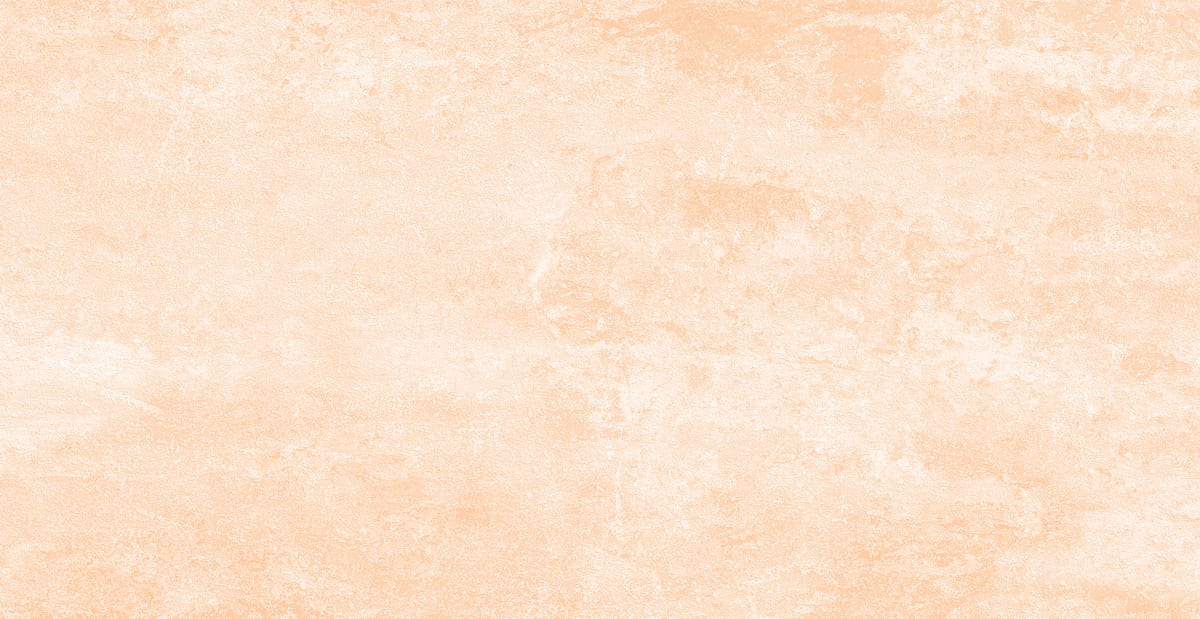 Polish Concrete Wall 1200х600 Great Desert